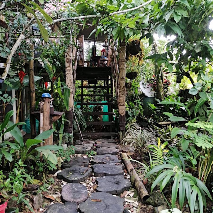 Maiku Amazonas Hotel Puerto Narino Bagian luar foto